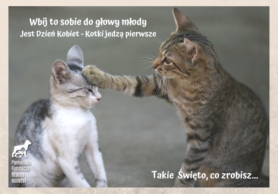 Dzień Kobiet