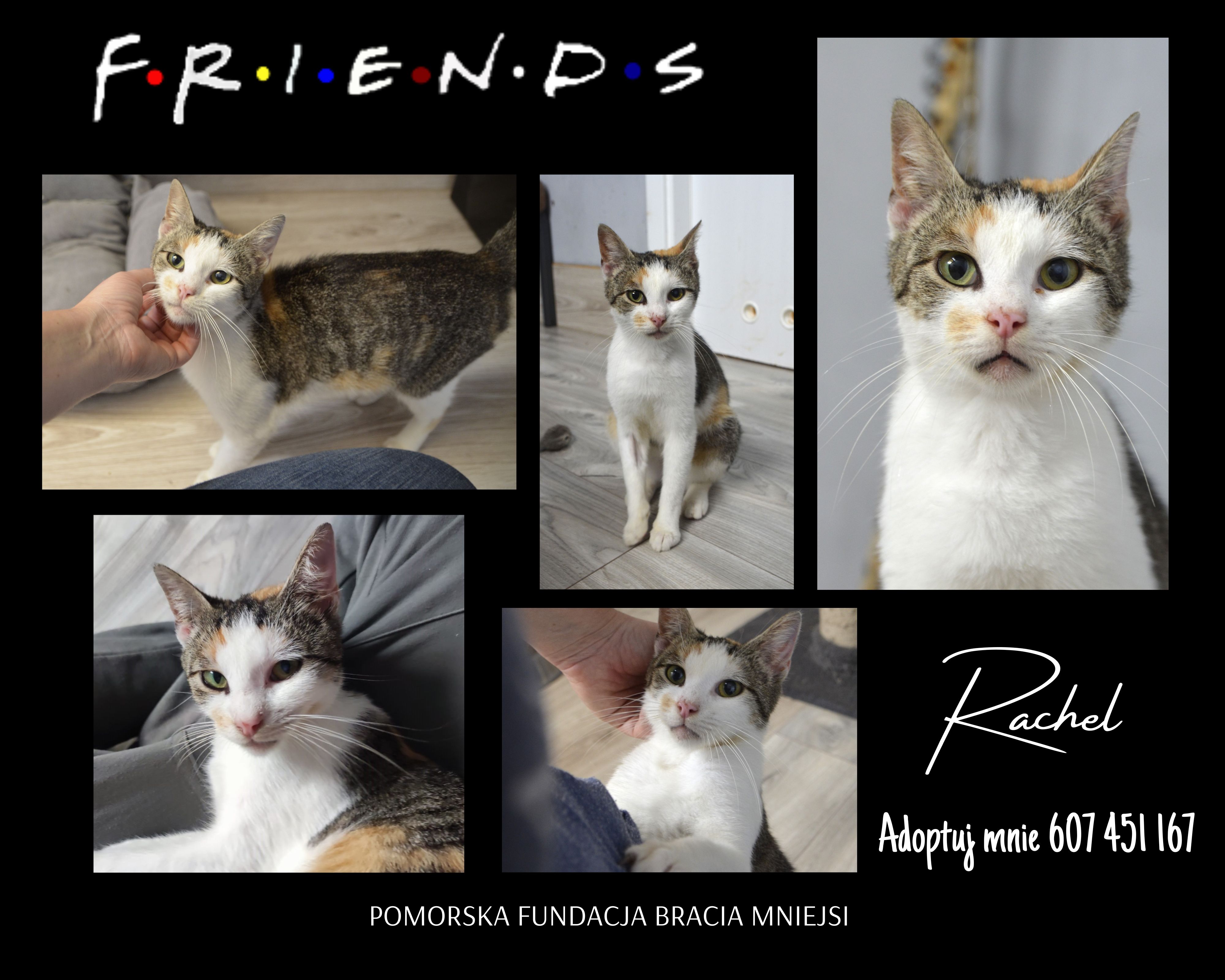 Friends
